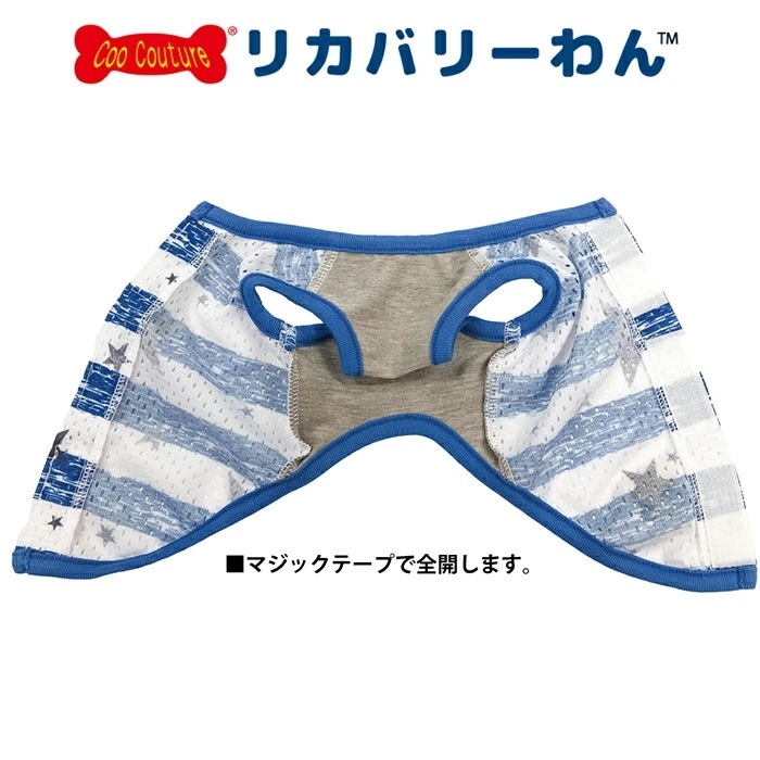 �ƥ饯���롦�ܡ������������٥륯������ ������ ���� ���󥯥ȥåײ��� ������ ���˥��� ������ ���������塼�� �ꥫ�Х꡼������ 1��-2�� 12482 ��T��