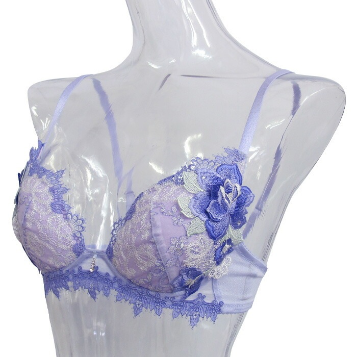 ワコール Wacoal サルート (Dカップ Eカップ Fカップ) 84