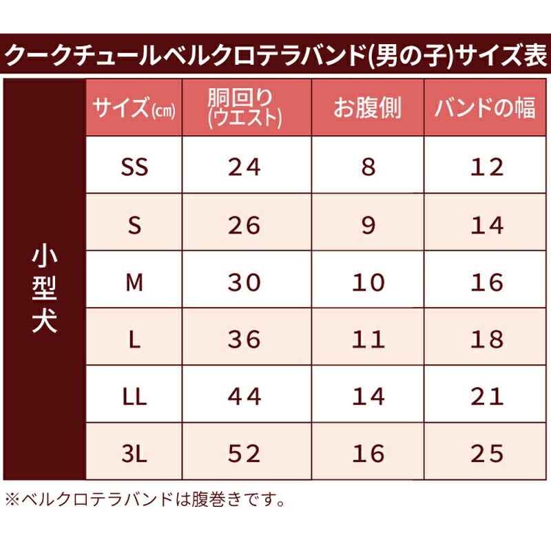 ƥإĥ󡦥꡼٥륯ƥХBOY ʢ  ˤλ   ڥåȥ  塼 7317 T̵ۡ