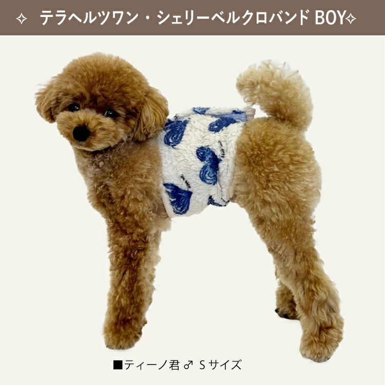 ƥإĥ󡦥꡼٥륯ƥХBOY ʢ  ˤλ   ڥåȥ  塼 7317 T̵ۡ