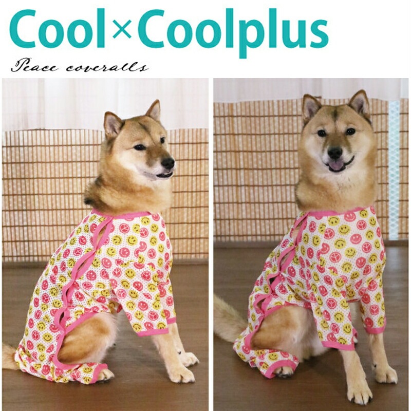 ������ߥ�����ץ饹 �ԡ������С�������(�����ɳ���������) ������ ���� ����ѡ��� ���� �緿�� �淿�� ���������塼�� 2��-3�� 10793 ��T��