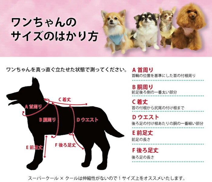 ������ߥ�����ץ饹 �ԡ������С�������(�����ɳ���������) ������ ���� ����ѡ��� ���� �緿�� �淿�� ���������塼�� 2��-3�� 10793 ��T��