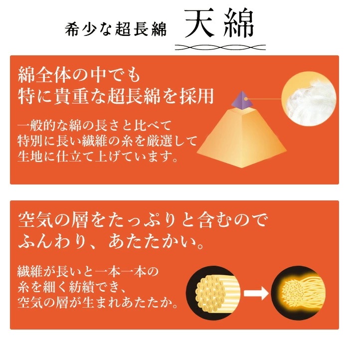 �拾���� Wacoal ������ M��L �դ��ꡢ���ä��� ��ǥ����� ���ä�������ʡ� �ܥȥ� ���ܥ� �Ҥ����� ���ߥ��� �ݲ� �ͥ��ݥ�3���ޤ� HLE510 ��P��