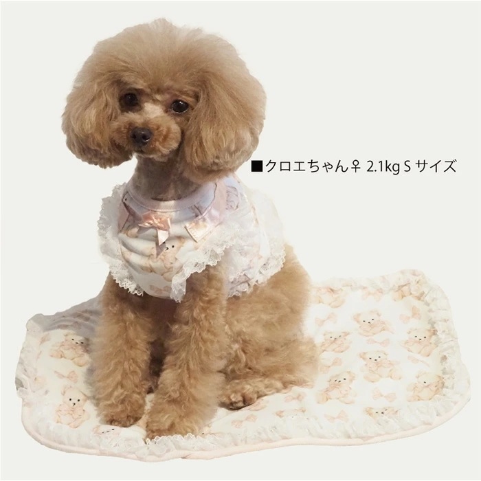 ƥ饯롦ɥ꡼٥ޥå S ޥå ڥåȥƥ ʪ  淿 ︤ ƥإĥ  塼 7325 T̵ۡ