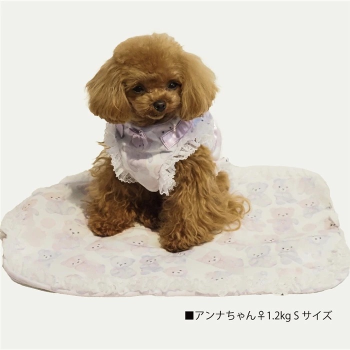 ƥ饯롦ɥ꡼٥ޥå S ޥå ڥåȥƥ ʪ  淿 ︤ ƥإĥ  塼 7325 T̵ۡ