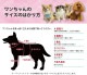������ߥ�����ץ饹 ����������(�����ɳ���������) ������ ���� ���󥯥ȥå� �礭�᥵�������� �緿�� ���˥��� ���������塼�� 2��-3�� 10817 ��T��