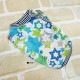 ������ߥ�����ץ饹 ����������(�����ɳ���������) ������ ���� ���󥯥ȥå� �礭�᥵�������� �緿�� ���˥��� ���������塼�� 2��-3�� 10817 ��T��