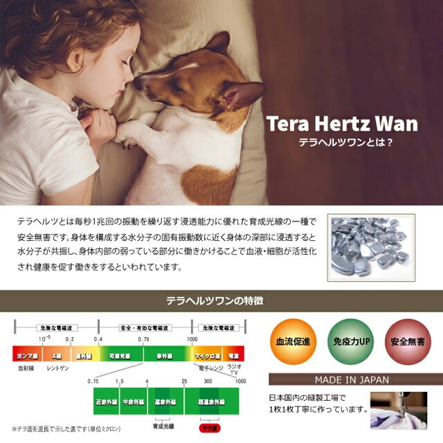 ԥӥ塼300ߥݥSWDƥإĥ󡦥٥륯󥯥ڥåȲ  ڥåȥ  ɥå  ƥإĥ  塼 2-3 12109 T̵ۡ