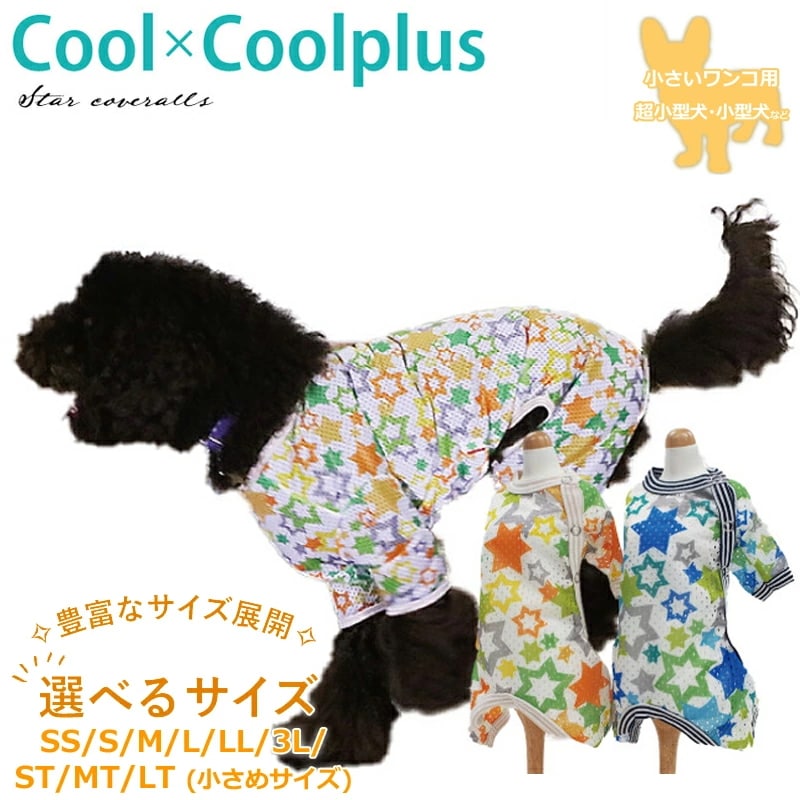 ������ߥ�����ץ饹 ���������С�������(�����ɳ���������) ������ ���ѥ����� ����ѡ������˥��� ������ ���������塼�� 2��-3�� 10818 ��T��