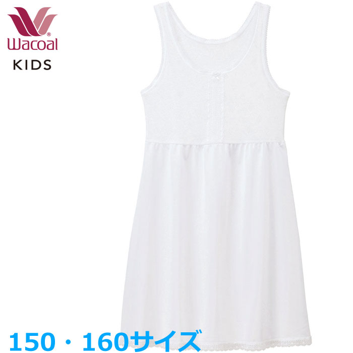 拾 Wacoalå å (150 160)ȥå λ ե꡼ƥ ᡼1ޤ  ؽ CSX570 P