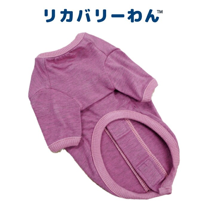 �ԥ�ӥ塼��300�ߥ����ݥ�����SWD�ƥ�إ�ĥ�󡦥٥륯��T����ĥڥåȲ�� ���ѥڥåȥ����� �淿�� �緿�� ���� �ƥ�إ�ĥ�� ���������塼�� 2��-3�� 12137 ��T�ۡ�����̵����