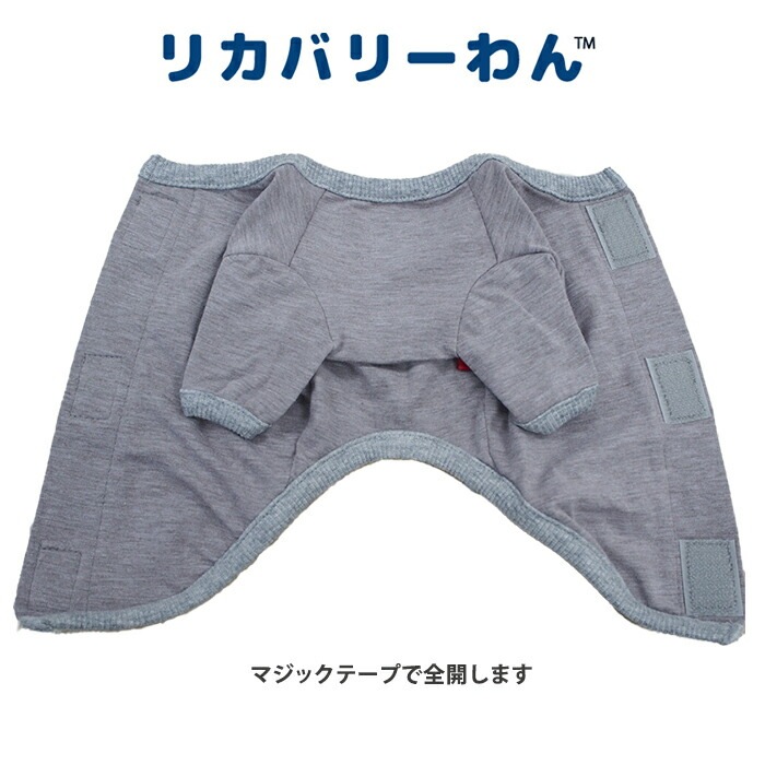 �ԥ�ӥ塼��300�ߥ����ݥ�����SWD�ƥ�إ�ĥ�󡦥٥륯��T����ĥڥåȲ�� ���ѥڥåȥ����� �淿�� �緿�� ���� �ƥ�إ�ĥ�� ���������塼�� 2��-3�� 12137 ��T�ۡ�����̵����