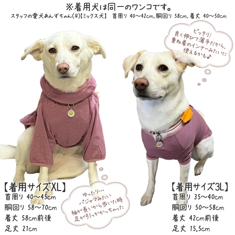 �ԥ�ӥ塼��300�ߥ����ݥ�����SWD�ƥ�إ�ĥ�󡦥٥륯��T����ĥڥåȲ�� ���ѥڥåȥ����� �淿�� �緿�� ���� �ƥ�إ�ĥ�� ���������塼�� 2��-3�� 12137 ��T�ۡ�����̵����