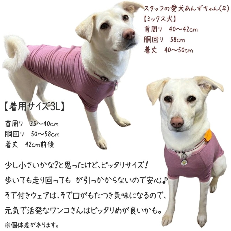 �ԥ�ӥ塼��300�ߥ����ݥ�����SWD�ƥ�إ�ĥ�󡦥٥륯��T����ĥڥåȲ�� ���ѥڥåȥ����� �淿�� �緿�� ���� �ƥ�إ�ĥ�� ���������塼�� 2��-3�� 12137 ��T�ۡ�����̵����