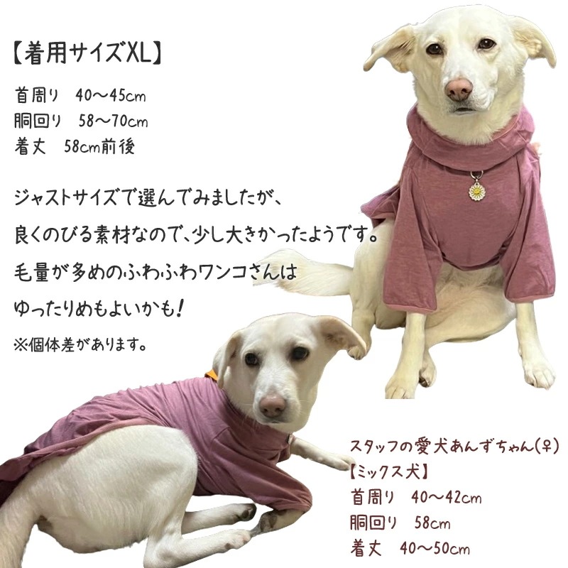 �ԥ�ӥ塼��300�ߥ����ݥ�����SWD�ƥ�إ�ĥ�󡦥٥륯��T����ĥڥåȲ�� ���ѥڥåȥ����� �淿�� �緿�� ���� �ƥ�إ�ĥ�� ���������塼�� 2��-3�� 12137 ��T�ۡ�����̵����