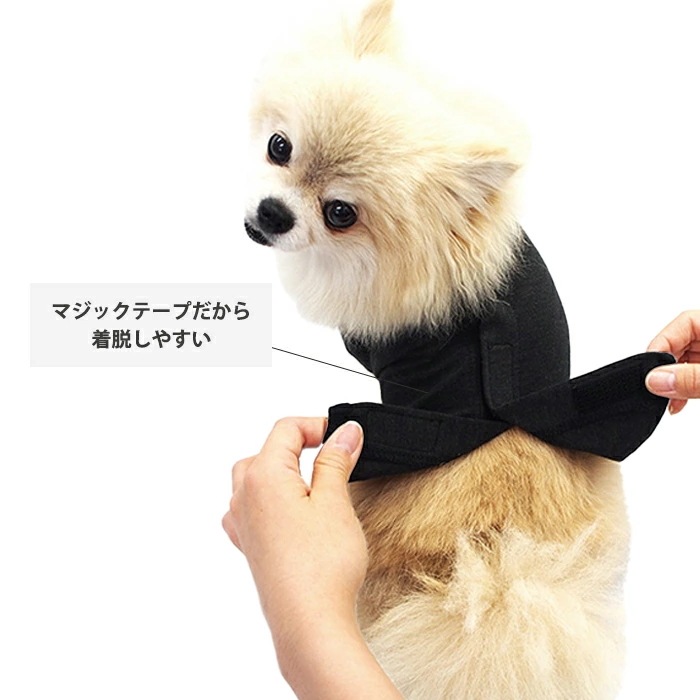 �ԥ�ӥ塼��300�ߥ����ݥ�����SWD�ƥ�إ�ĥ�󡦥٥륯��T����ĥڥåȲ�� ���ѥڥåȥ����� �淿�� �緿�� ���� �ƥ�إ�ĥ�� ���������塼�� 2��-3�� 12137 ��T�ۡ�����̵����