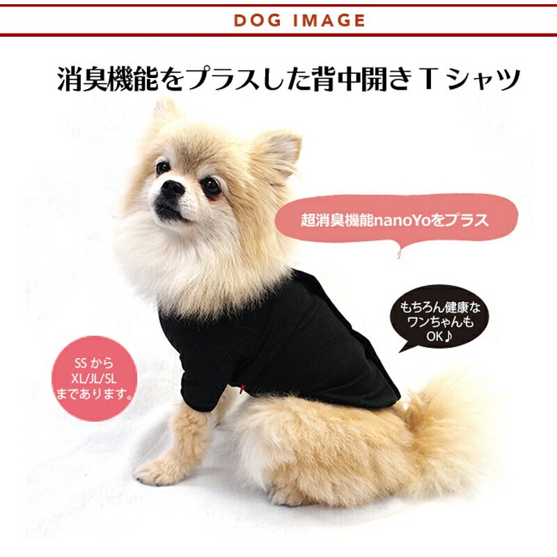 �ԥ�ӥ塼��300�ߥ����ݥ�����SWD�ƥ�إ�ĥ�󡦥٥륯��T����ĥڥåȲ�� ���ѥڥåȥ����� �淿�� �緿�� ���� �ƥ�إ�ĥ�� ���������塼�� 2��-3�� 12137 ��T�ۡ�����̵����