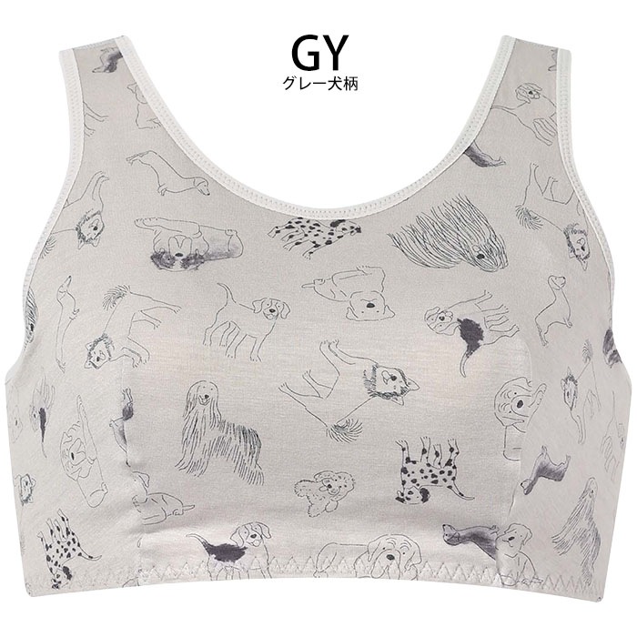 ¨вٲ 拾 ʥȥåץ֥ 拾 ѥ֥ Υ磻䡼 ֥ ML BRA154ؤ Wacoal ᡼3ޤ BRA164 S