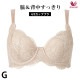 �拾���� Wacoal �ơ����椹�ä��� 4/5���åץ֥� (G���å�) ���å�ȩ¦�ʺ� Ever Chic ���С����å� BRB224�������ؤ� BXC504 ��P��