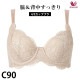 �拾���� Wacoal �ơ����椹�ä��� 4/5���åץ֥� (C90) ���å�ȩ¦�ʺ� Ever Chic ���С����å� BRB224�����ؤ� BXC504 ��P��