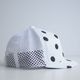 DOT MESH CAP