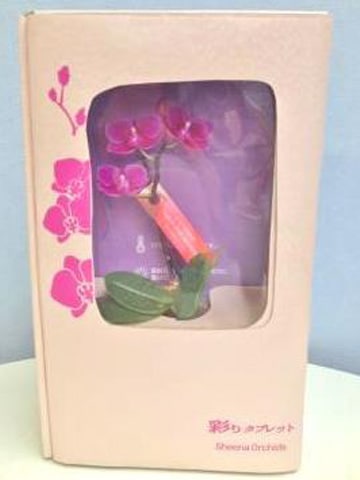 �ޥ�������ĳ����MIX���̤꥿�֥�åȡ�1�ܡ�����̾�Υ��� SN-33��