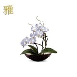 �����ޡ���ĳ������