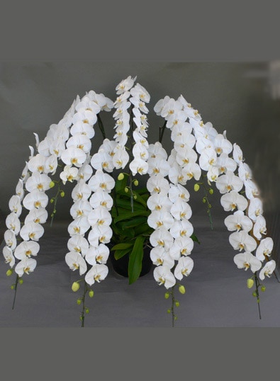 ��ĳ�������ءˡ���7�ܡ��ڷ��������� KR-6��