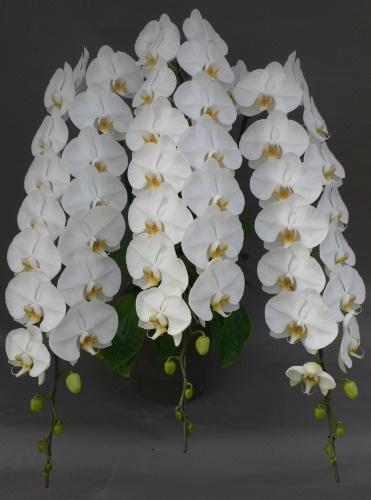 ��ĳ�������ءˡ���3�ܡ��ڷ��������� KR-3��