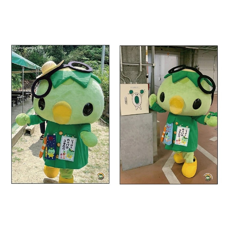 カッパのコタロウ 生写真B(2枚セット)【kpkt】【カッパのコタロウキャンペーン対象商品】