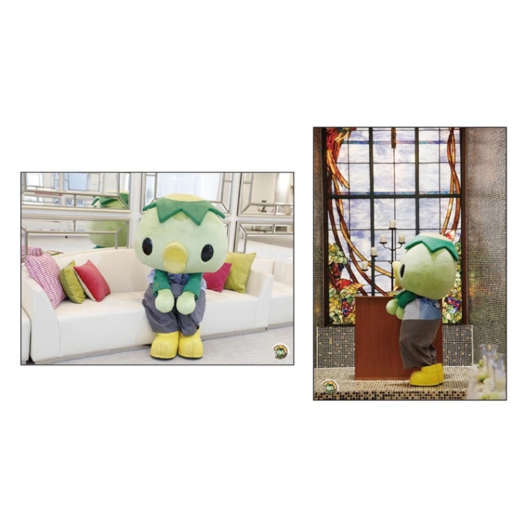 カッパのコタロウ 生写真D(2枚セット)【kpkt】【カッパのコタロウキャンペーン対象商品】