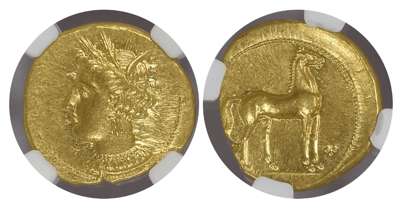 希少‼️レア‼️二度と手に入らない馬主金貨‼️メイワキミコ 希少‼️レア‼️二度と手に入らない馬主金貨‼️メイワキミコ 希少