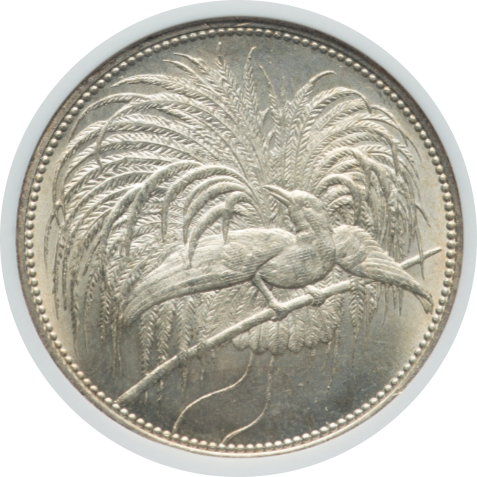 MS65】1894年 ドイツ領ニューギニア 極楽鳥 5マルク銀貨 | すべての