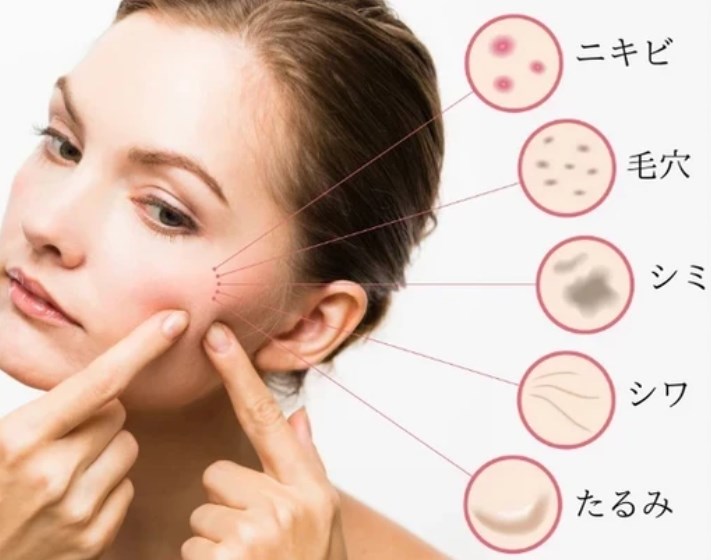 �ߥ�Υ�ԡ���ʥХ�����ԡ����-��̳��͢������