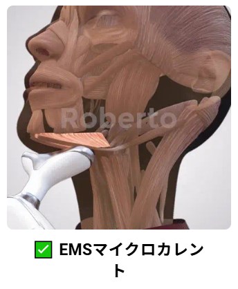 ¿��ǽ�������-Roberto Lift Device-