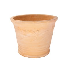 �ǥ��쥤�ƥ��֥ƥ饳�å�ȭ olive L������ �ʥ�������ǾƤ�ȭ �ꤢ�� 1��