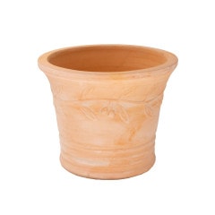 �ǥ��쥤�ƥ��֥ƥ饳�å�ȭ olive S������ �ʥ����� �ǾƤ� ȭ �ꤢ�� 10��