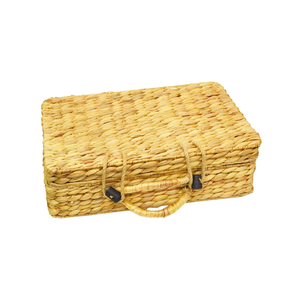 ウォーターヒヤシンス トランク バスケット Sサイズ ナチュラル