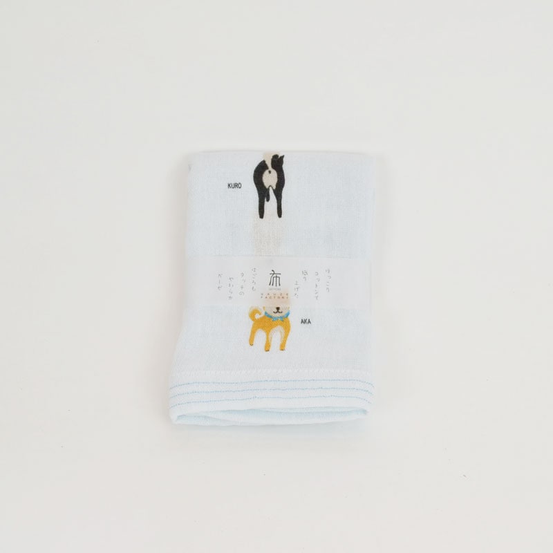 �Ϥ����⥬���� ������ ������ �֥롼 ���������� �Ƹ�