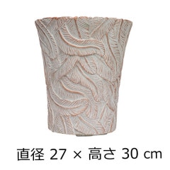 �ե����С������ȥݥå� ����ȭ �ե�����S �� �ۥ磻��