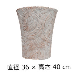 �ե����С������ȥݥå� ����ȭ �ե�����L �� �ۥ磻��