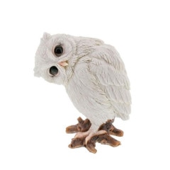 �ߥߥ��� �����ǥ󥪡��ʥ��� �� �ե����� ��ʪ �դ�����