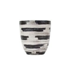 �ƥ饳�å�ȭ ����ȭ ��Υ�����������S �ץ�󥿡� 8��