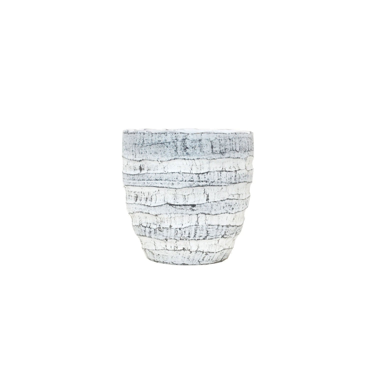 �ƥ饳�å� ����ȭ ������� �ݥå� �쥤�䡼 S 5�� ��