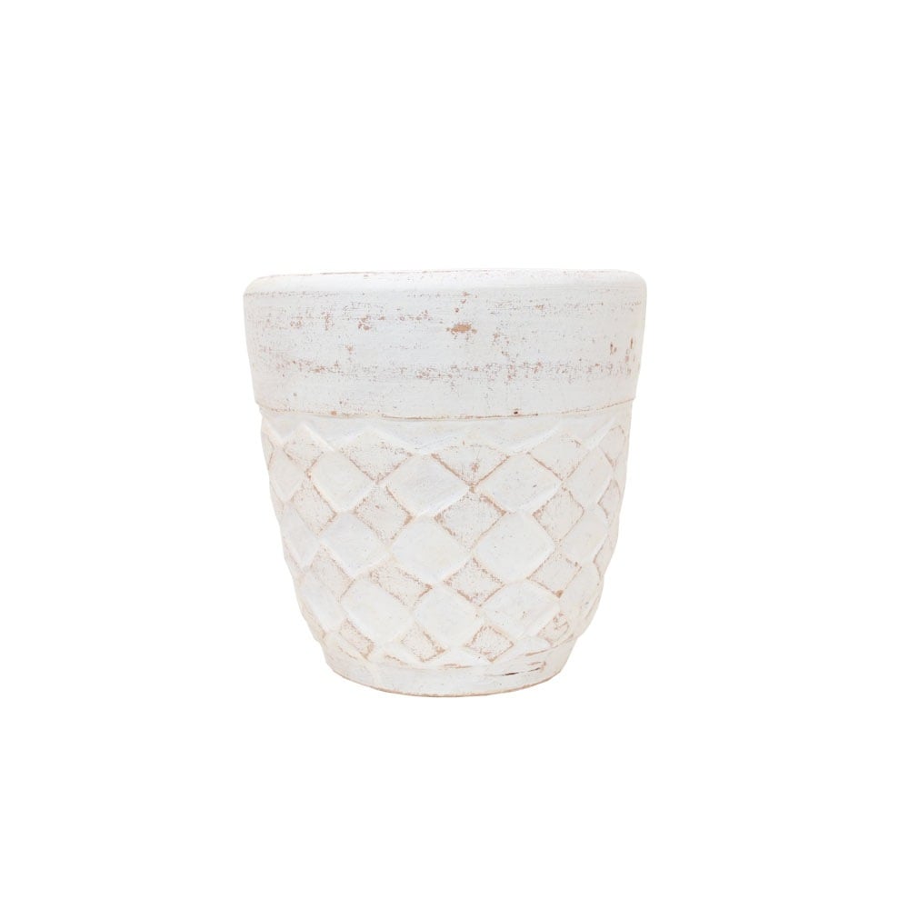 ���顼�ƥ饳�å�����ȭ �ץ�󥿡� ������ S 8�� ��