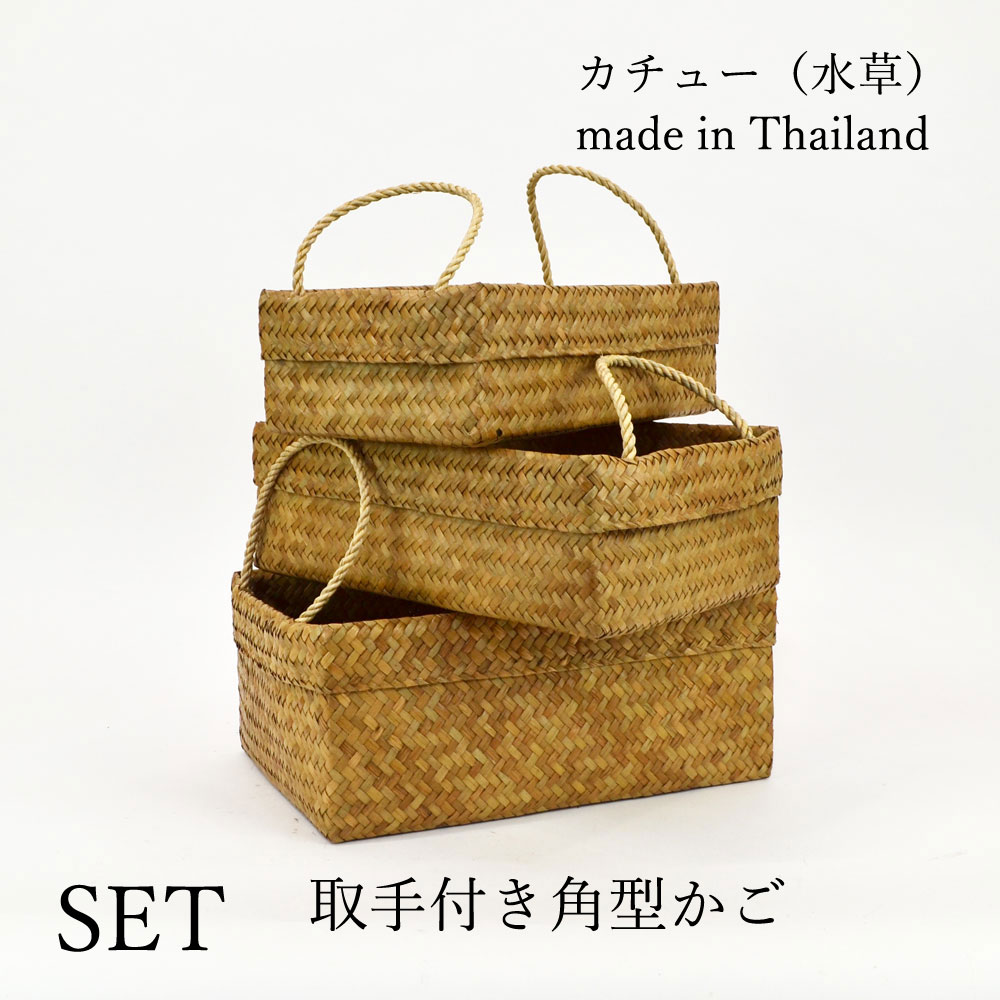 カチュー 水草 バスケット タイ 3個セット カチュー 水草 バスケット タイ 3個セット タイ/カチュー（水草