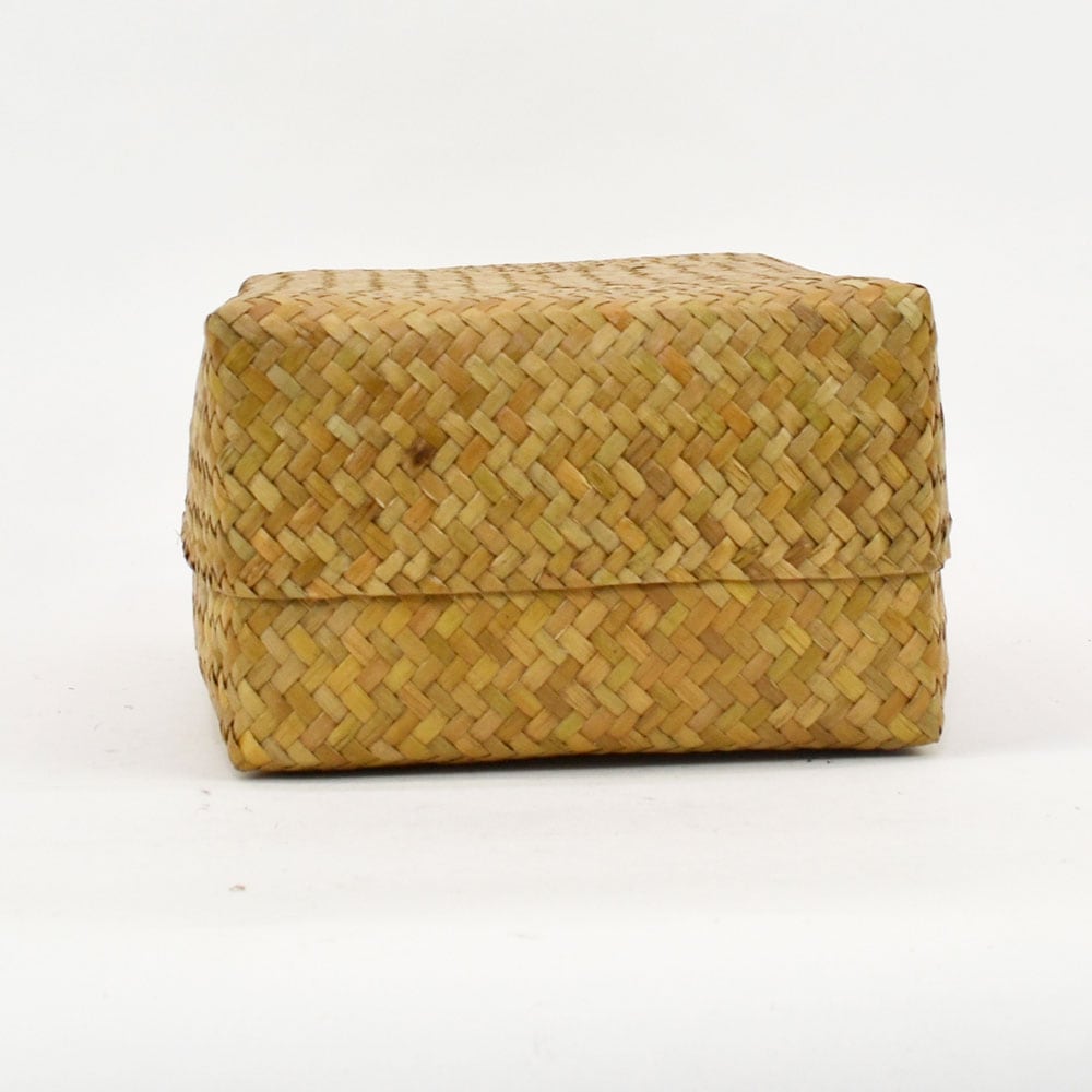 タイ製 カチュー ふた付き 四角BOX M 葛籠 収納 水草