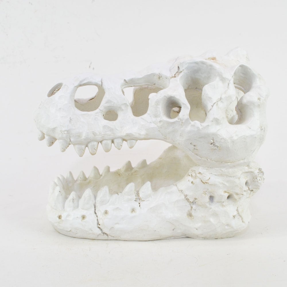 レジン スカルオブジェ ダイナソー 置物 オーナメント アンティーク 恐竜 レジン スカルオブジェ ダイナソー 置物 オーナメント アンティーク 恐竜