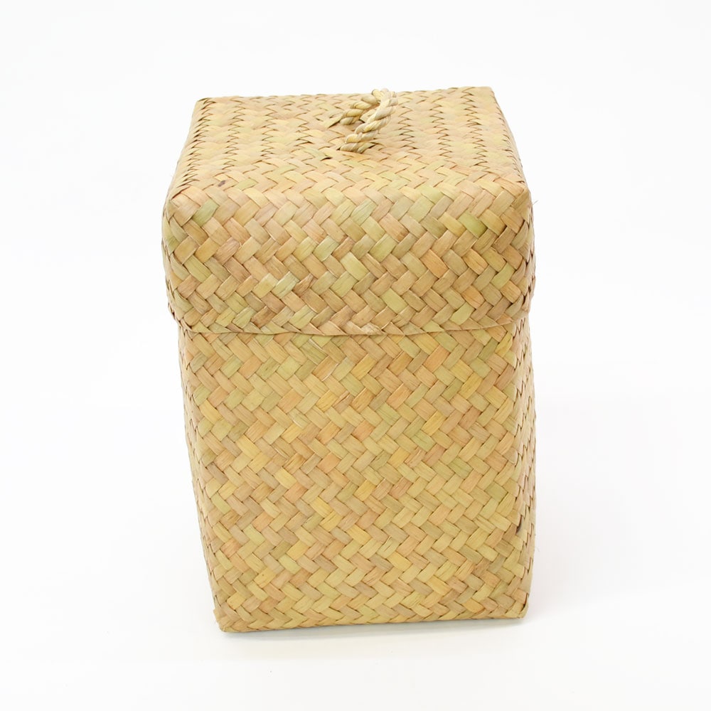 タイ製 カチュー ふた取手付き 四角BOX M トール 水草