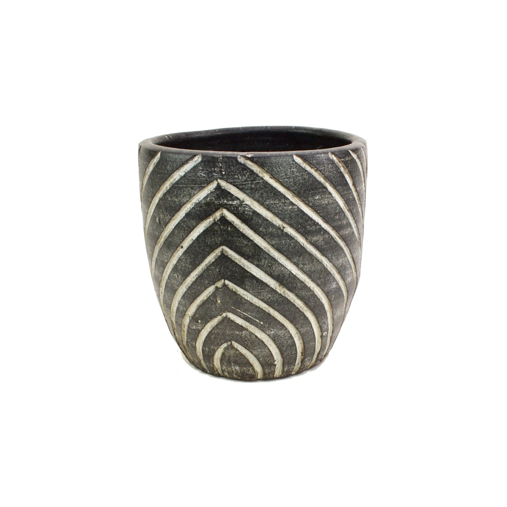 ���顼�ƥ饳�å�ȭ ����ȭ  �֥�å�S 8�� �� �������